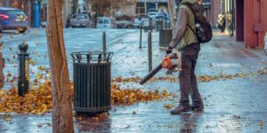 The Best Battery Leaf Blowers