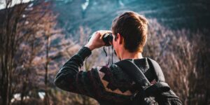 The Best Binoculars for Birds, Nature, and the Outdoors