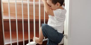 The Best Baby Gate