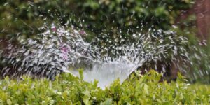 The Best Smart Sprinkler Controller