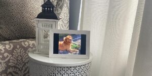 The Best Digital Photo Frames