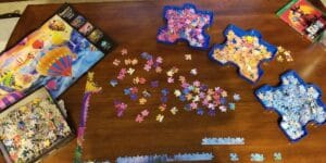 The Best Puzzle Sorting Trays