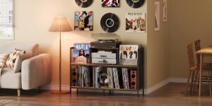 The Best Turntable and Vinyl Stand