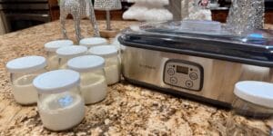 The Best Yogurt Maker