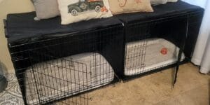 The Best Dog Crate Cover