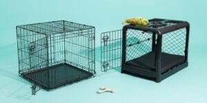 The Best Dog Crate