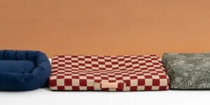 The Best Dog Crate Mat