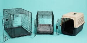 The Best Medium Dog Crate