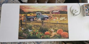 Top Cobble Hill 1000 Piece Jigsaw Puzzles Worth Your Table Space