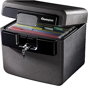 SentrySafe HD4100