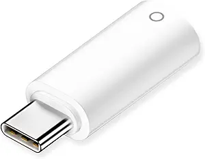 AreMe USB-C to Pencil Adapter Cable