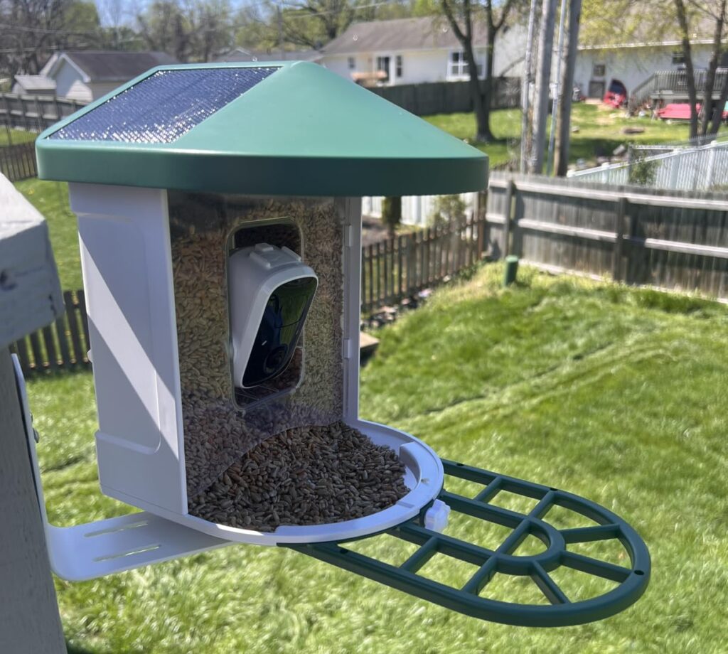 Best Budget Smart Feeder with Solar: HARYMOR Bird Feeder with Camera Q8