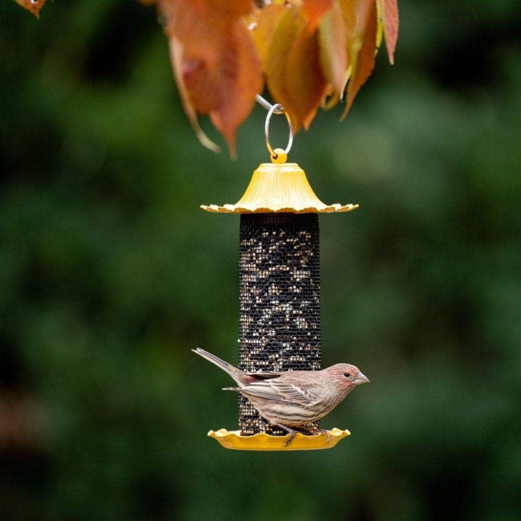 Best Finch and Nyjer Feeder: More Birds Stokes Select 38194 Bird Feeder