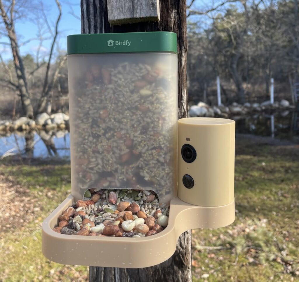Best Smart Bird Feeder for Beginners: Birdfy Smart Bird Feeder with Camera for Rookie