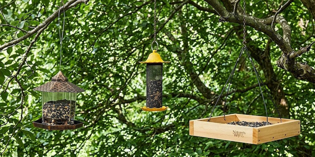 The Best Bird Feeders