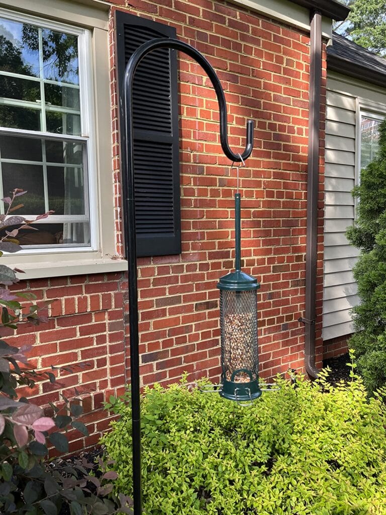 Brome Squirrel Buster Mini Squirrel-Proof Bird Feeder