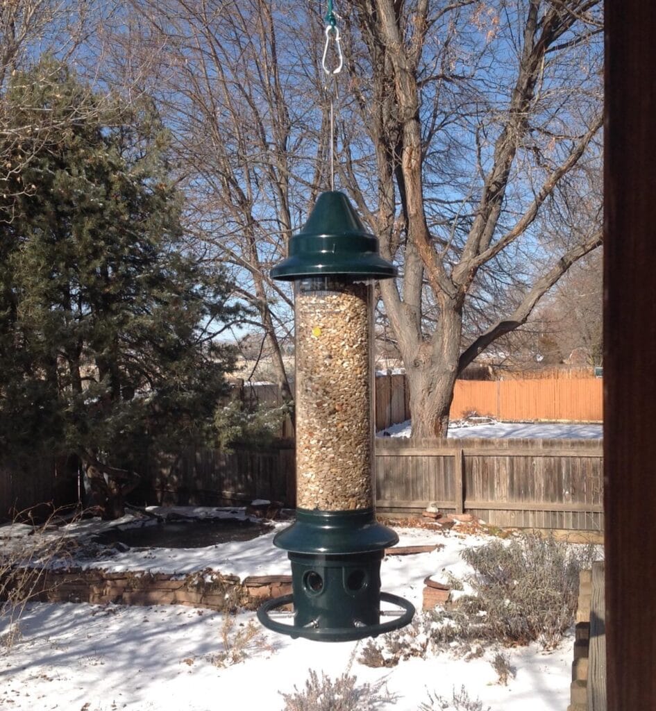 Brome Squirrel Buster Plus Squirrel-Proof Bird Feeder