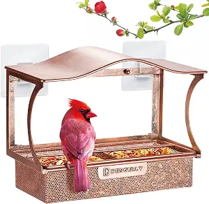 DesGully Window Bird Feeder