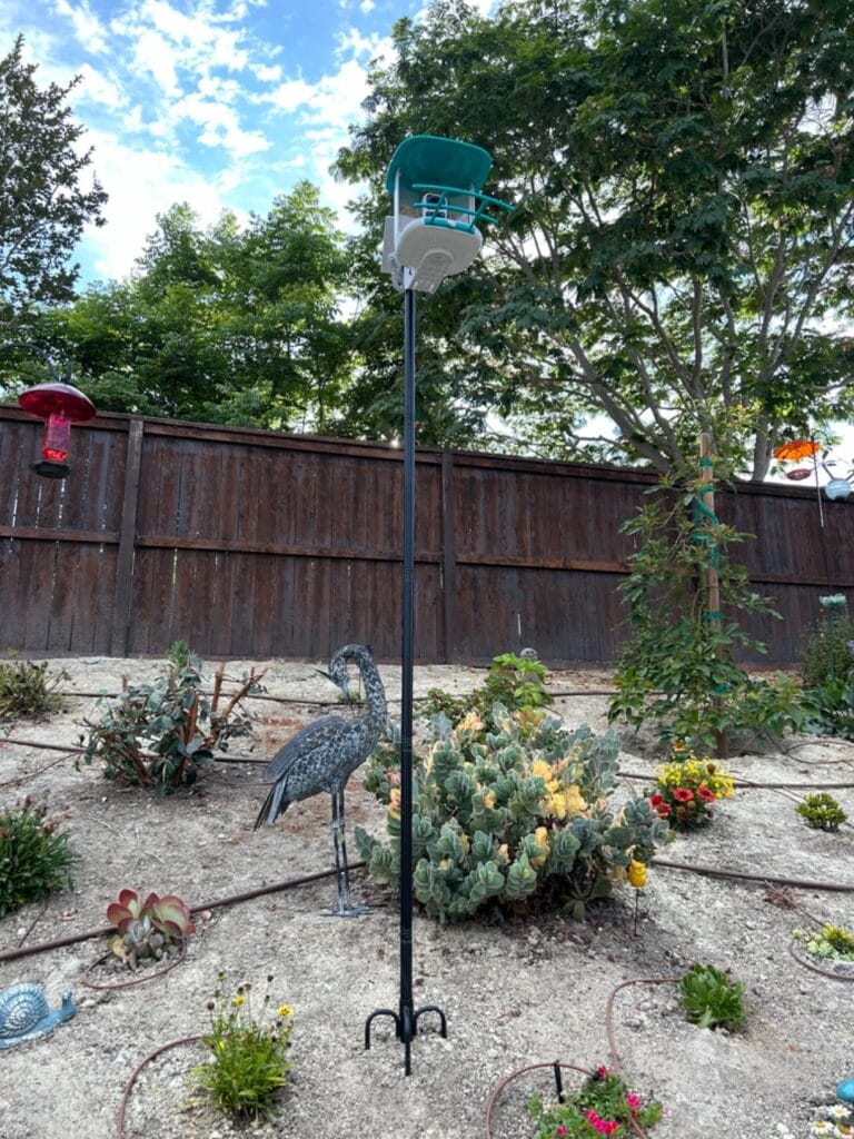 Gtongoko Smart Bird Feeder Pole 1-Inch Dia 79 Inch Bluebird House Pole
