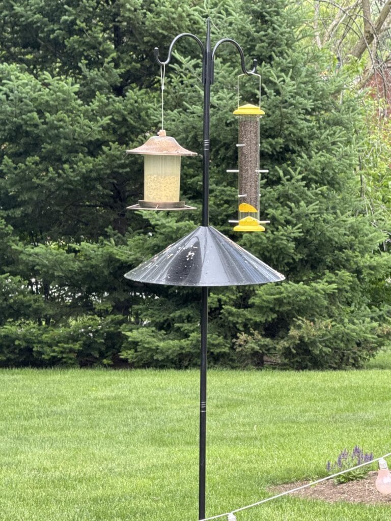 Gtongoko Squirrel Proof Bird Feeder Pole 92 Inch Double Shepherds Hook