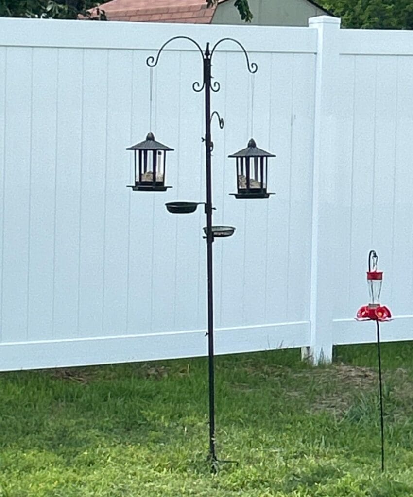 Kingsyard Bird Feeding Station Kit