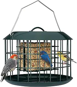 Kingsyard Squirrel Proof Suet Feeder