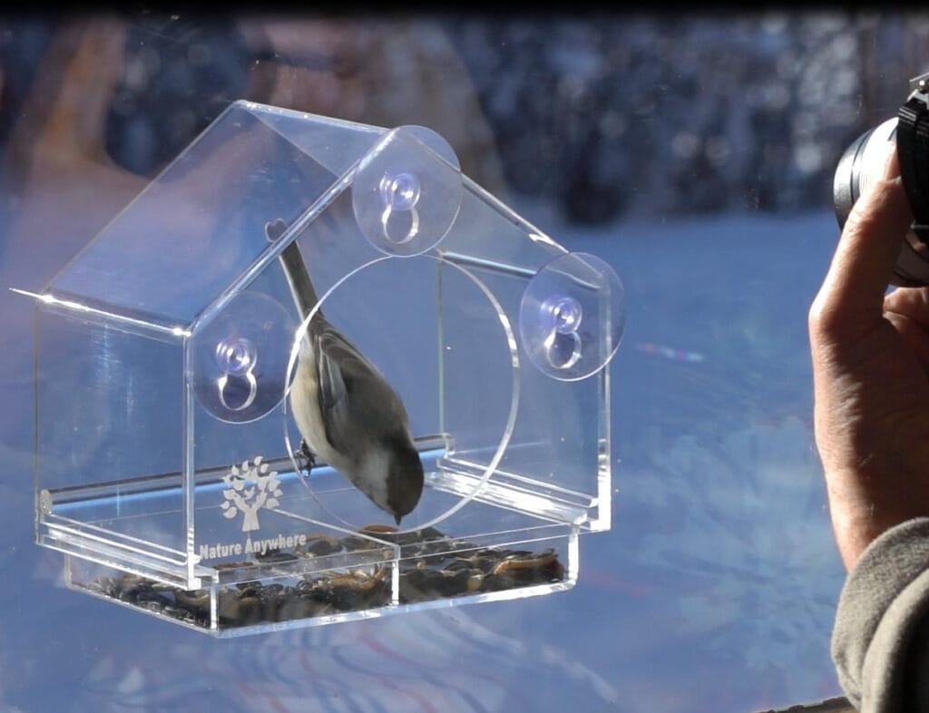 Best Window Bird Feeder: Nature Anywhere Window Bird Feeder