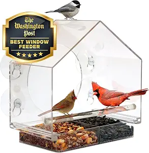 Nature Anywhere Window Bird Feeder