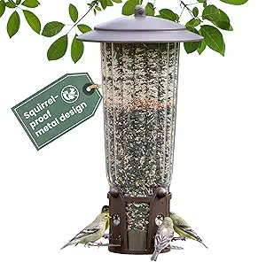 Perky-Pet Squirrel-Be-Gone Max Bird Feeder