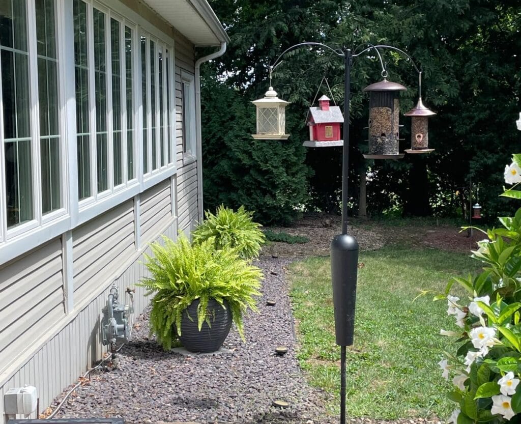 Squirrel Stopper Sequoia Squirrel Proof Bird Feeder Pole System