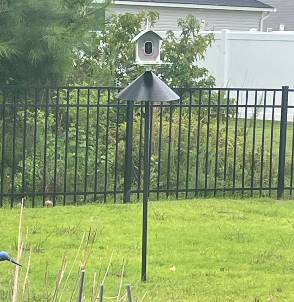 Squirrel Stopper Universal Mounting Pole Kit