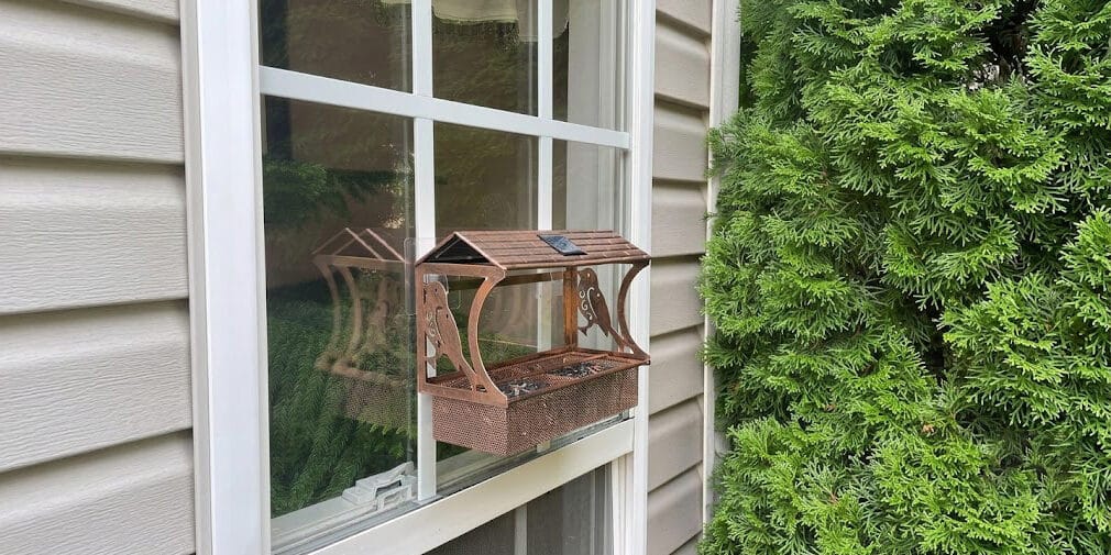 The Best Window Bird Feeders