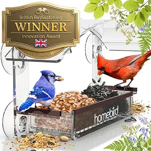 homebird Window Bird Feeder