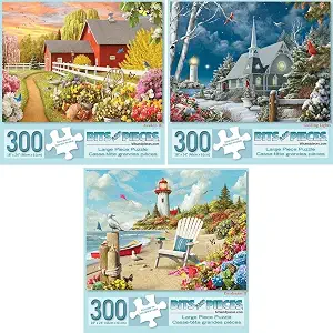 Bits and Pieces 3 Jigsaw Puzzle Set 300 Piece Puzzles Alan Giana Seasons Set