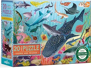Sharks & Friends