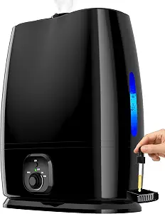 Everlasting Comfort 6L Humidifier for Bedroom