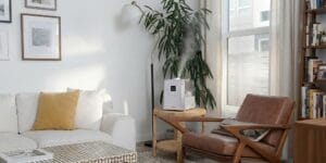 Best Humidifier for Sinus